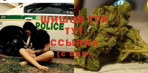 дживик Касимов